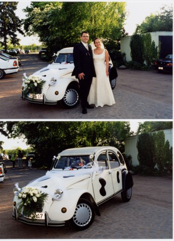 Hochzeitente